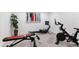 Home gym featuring various exercise equipment, offering a convenient workout space at 10546 Sundial Rim Rd, Highlands Ranch, CO 80126