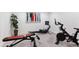 Bright workout room with stationary bike, rowing machine, weight bench and colorful decor at 10546 Sundial Rim Rd, Highlands Ranch, CO 80126