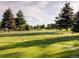 Lush green golf course with mature trees and a sand trap provides a scenic view at 3022 S Wheeling Way # 407, Aurora, CO 80014
