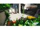 Outdoor living with patio furniture surrounded by lush greenery and colorful flowers at 396 E Warren Ave, Denver, CO 80210