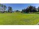 Beautiful lot features a lush lawn and mature trees, creating a park-like setting with plenty of space for outdoor activities at 3561 Kalispell St, Aurora, CO 80011
