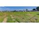 Spacious lot with a mix of well-maintained grass and vegetation, ideal for building or enjoying the outdoors at 3561 Kalispell St, Aurora, CO 80011