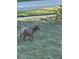 Expansive outdoor space where wildlife roams freely, providing a serene, natural setting by the property at 5668 Shadescale Way, Castle Rock, CO 80104