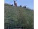 Scenic shot of elk in a field, showcasing the property's natural surroundings and potential wildlife sightings at 5668 Shadescale Way, Castle Rock, CO 80104