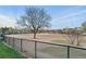 Spacious dog park with fencing, ample room for dogs to run, and a large shade tree at 1711 Spruce St, Denver, CO 80220