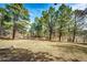 Expansive grassy backyard surrounded by mature trees and a wooden fence at 36635 View Ridge Dr, Elizabeth, CO 80107