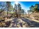 Wooded backyard featuring mature trees and a rustic fence bordering the property at 36635 View Ridge Dr, Elizabeth, CO 80107