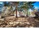 Backyard featuring mature trees and natural ground cover creates a sense of privacy at 36635 View Ridge Dr, Elizabeth, CO 80107