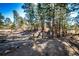 Landscaped yard with a rustic fence and mature trees providing shade and privacy at 36635 View Ridge Dr, Elizabeth, CO 80107