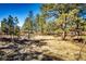 Natural landscaping with tall trees and ground cover creates a serene and private outdoor setting at 36635 View Ridge Dr, Elizabeth, CO 80107