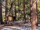 Magnificent buck with antlers looking forward on a snowy, wooded lot at 7076 Boreas Rd, Larkspur, CO 80118