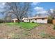 Large backyard with grass, bushes, garden, shed, and mature tree at 726 Mobile St, Aurora, CO 80011