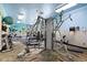 Community gym featuring modern weight machines, free weights, and ample workout space at 24045 High Meadow Dr, Golden, CO 80401