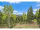 Beautiful lot with mountain views and mature trees, perfect for building your dream home at 11222 Conifer Mountain Rd, Conifer, CO 80433