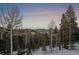 Scenic view through the trees, showcasing the natural beauty of the area at 11222 Conifer Mountain Rd, Conifer, CO 80433