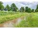 Lush backyard featuring a stream, tall grasses, and serene landscape, creating a tranquil outdoor escape at 5185 E Weaver Dr, Centennial, CO 80121