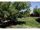 View of a backyard featuring a grassy lawn, a tree, and a fence, creating a private outdoor space at 233 Cherokee Ct, Brighton, CO 80603