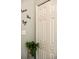 Close-up of a closet door featuring a plant, modern decor and painted in a neutral paint at 1140 Magic Lamp Way # 4, Monument, CO 80132
