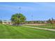 A lush green baseball field is seen with a tree in the foreground on a sunny day surrounded by a chainlink fence at 882 Eldorado Dr, Superior, CO 80027