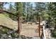 Inviting outdoor seating area with a fire pit, perfect for gatherings in a serene wooded setting at 7221 S Brook Forest Rd, Evergreen, CO 80439