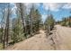 Long gravel driveway leading to the property, surrounded by trees at 11390 Shimley Rd, Golden, CO 80403