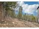 Landscape view of the property, showing a dirt road and a variety of trees and bushes with a cloudy sky above at 11390 Shimley Rd, Golden, CO 80403