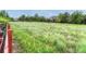 A large grassy field and perimeter trees, seen from behind the property, provides a green view at 2741 Poplar Grove Pl, Castle Rock, CO 80109