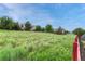 Shot of the backyard with a view of the green space and the fences that border the property at 2741 Poplar Grove Pl, Castle Rock, CO 80109