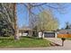 Charming single-story home with a well-maintained lawn, mature trees, and inviting curb appeal at 12155 W 68Th Pl, Arvada, CO 80004