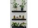 Stylish decor features decorative rocks and thriving plants displayed on sleek black shelves, adding a touch of nature indoors at 540 S Forest St # 5-204, Denver, CO 80246