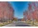 A tree-lined street leading to a community clubhouse creates a welcoming environment for residents and visitors alike at 3508 Silverado Cir, Frederick, CO 80516