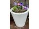 Delightful potted flowers with a whimsical 'Chipmunk Crossing' sign adding charm to the outdoor space at 5672 Santa Clara Rd, Indian Hills, CO 80454
