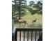 A view of two deer grazing beyond a deck, showcasing the tranquil natural setting at 12119 S Wanderlust Way, Parker, CO 80138