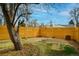 Image showcasing a backyard with a modern wooden fence at 9405 W 54Th Pl, Arvada, CO 80002