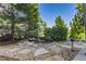 Backyard features a serene pond with stepping stones and lush landscaping at 2980 Craig Ct, Castle Rock, CO 80109