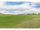 Spacious green field under a bright blue sky with fluffy white clouds at 23998 E Atlantic Pl, Aurora, CO 80018