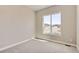 Bright bedroom featuring neutral walls and carpet, complemented by a large window offering natural light at 423 Basin Daisy St, Castle Rock, CO 80104