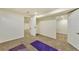 Unfinished basement area offering potential for additional living space and customization at 8898 Chestnut Hill Ct, Highlands Ranch, CO 80130