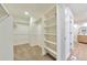 Spacious walk-in closet features carpet flooring and white shelving at 8898 Chestnut Hill Ct, Highlands Ranch, CO 80130