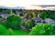 Aerial view showcases a quiet neighborhood with mature trees, manicured lawns, and outdoor seating at 5150 Morning Glory Pl, Highlands Ranch, CO 80130