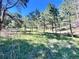 Green meadow landscape surrounded by mature trees provides serenity and privacy on this peaceful property at 4574 Picutis Rd, Indian Hills, CO 80454