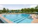 Large community pool with multiple lanes, diving areas, lounge chairs, and shaded umbrellas for recreation at 4041 E Forbes Ct, Greenwood Village, CO 80121
