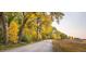 Autumn landscape along a gravel path featuring lush trees, golden leaves, and a peaceful meadow, creating a serene outdoor space at 4041 E Forbes Ct, Greenwood Village, CO 80121