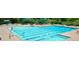 Large community swimming pool and diving area featuring lounge chairs and picnic tables, perfect for summer fun and relaxation at 4041 E Forbes Ct, Greenwood Village, CO 80121