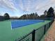 Well-maintained community tennis court with blue and green surfacing, surrounded by mature trees and a secure fence at 4041 E Forbes Ct, Greenwood Village, CO 80121