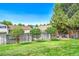 Beautiful fenced backyard with lush green grass and newly planted trees at 1093 Lilac Cir, Broomfield, CO 80020