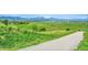 Scenic open space features a walking path and views of mountains at 1093 Lilac Cir, Broomfield, CO 80020