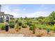 Well-maintained dog park area with a dog waste station, lush greenery, and a scenic backdrop of townhomes at 193 Ambrose St, Erie, CO 80516