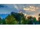 Scenic view of the sunset streaming through the trees under a blue sky at 930 Parkview St, Louisville, CO 80027