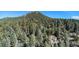 A distant view of a home nestled into a dense forest with mountain views at 8838 Hillview Rd, Morrison, CO 80465